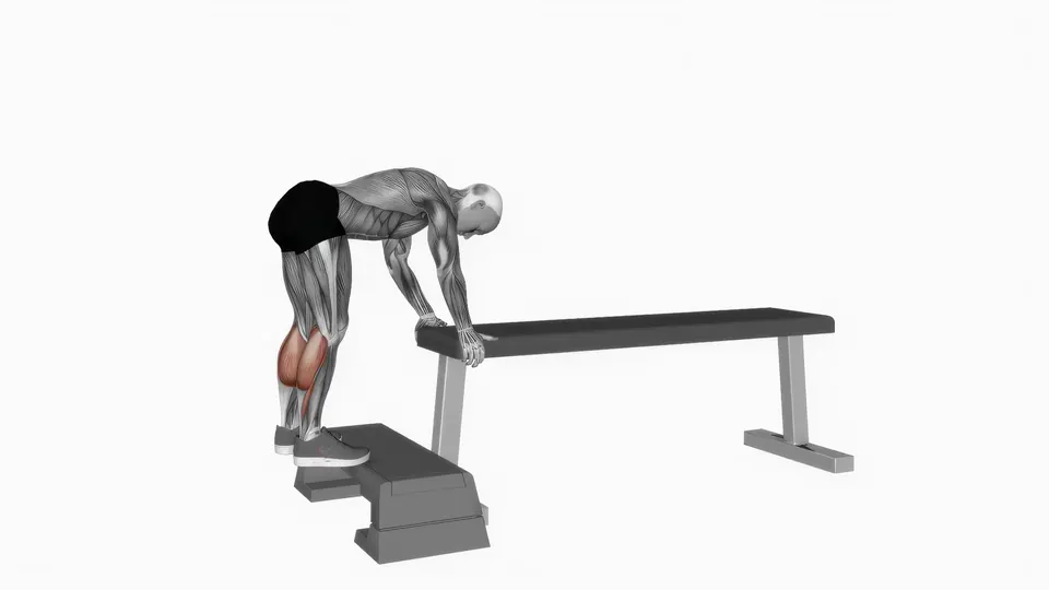 Donkey Calf Raise