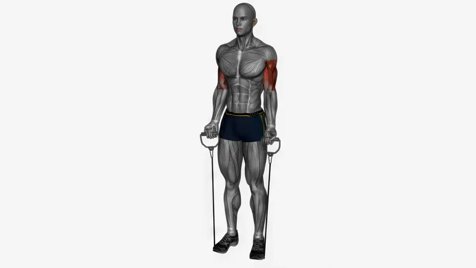 Resistance Band Drag Curl