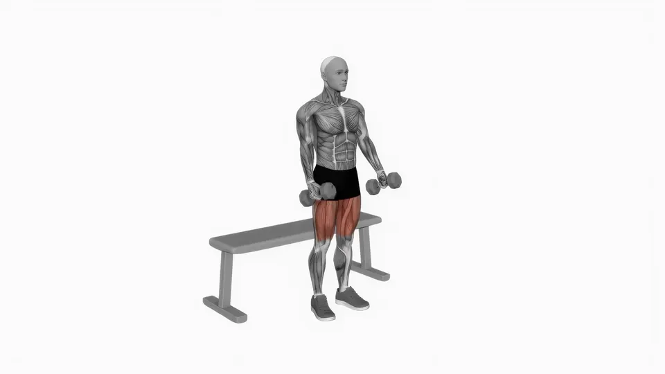 Dumbbell Box Squat