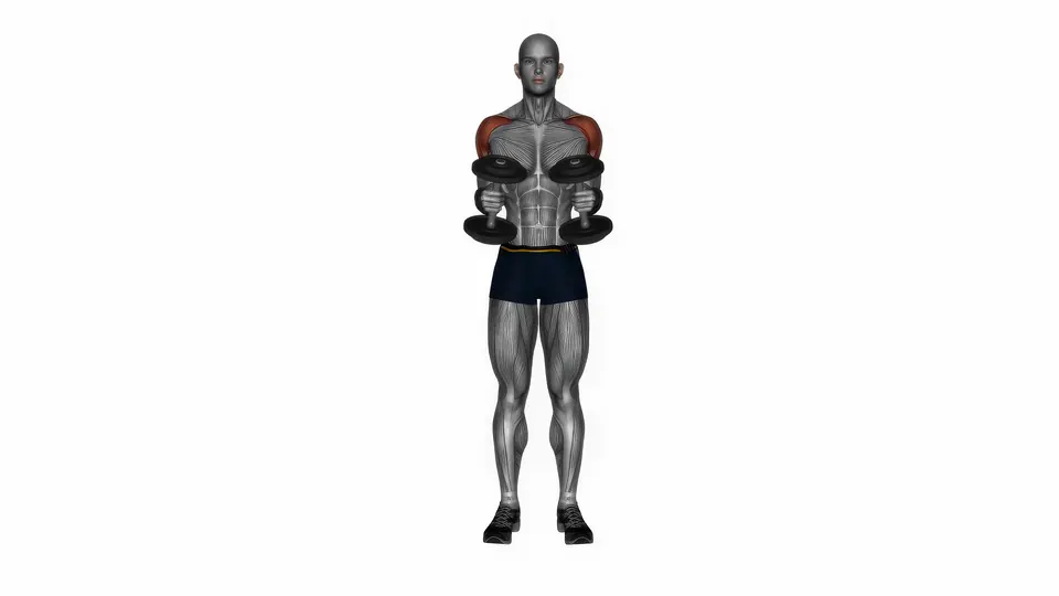 Dumbbell Bent Arm Lateral Raise