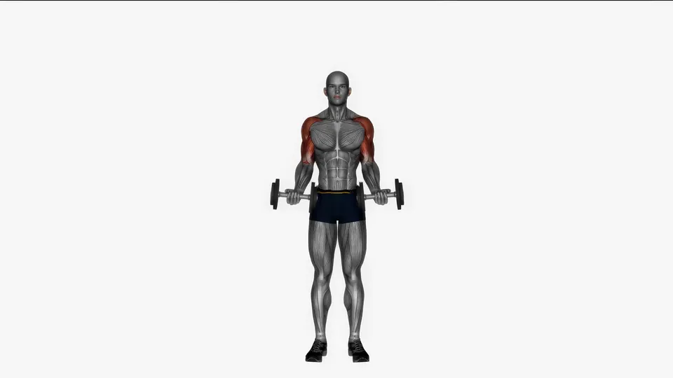 Dumbbell Curl to Press