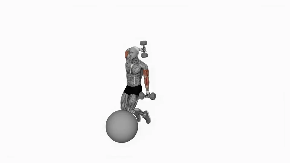 Kneeling Stability Ball Dumbbell Curl and Overhead Extension