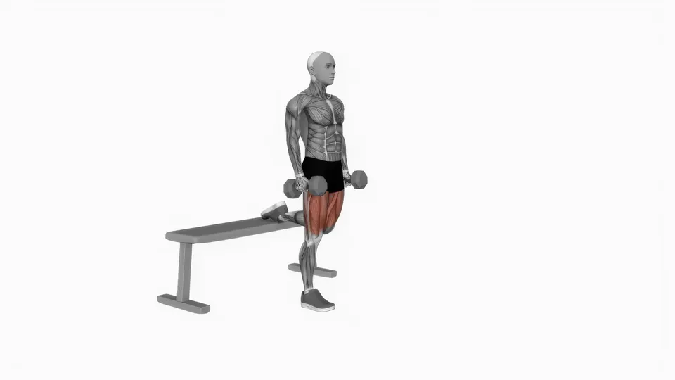 Dumbbell Bulgarian Split Squat
