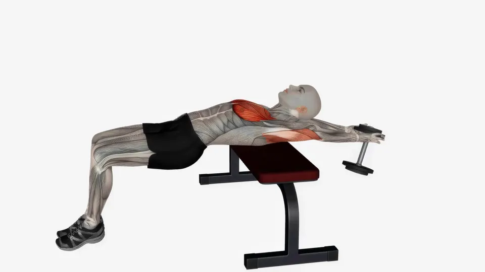 Cross Bench Dumbbell Pullover