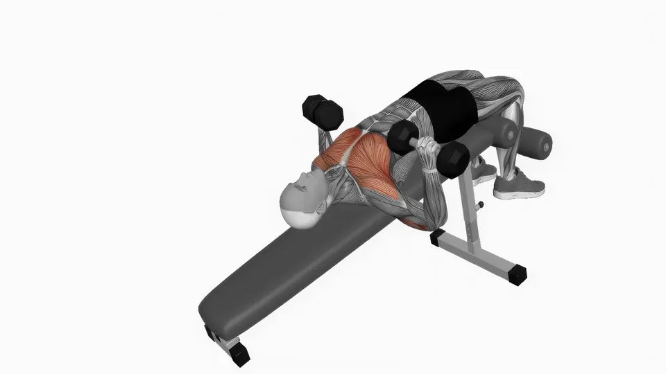 Dumbbell Decline Bench Press