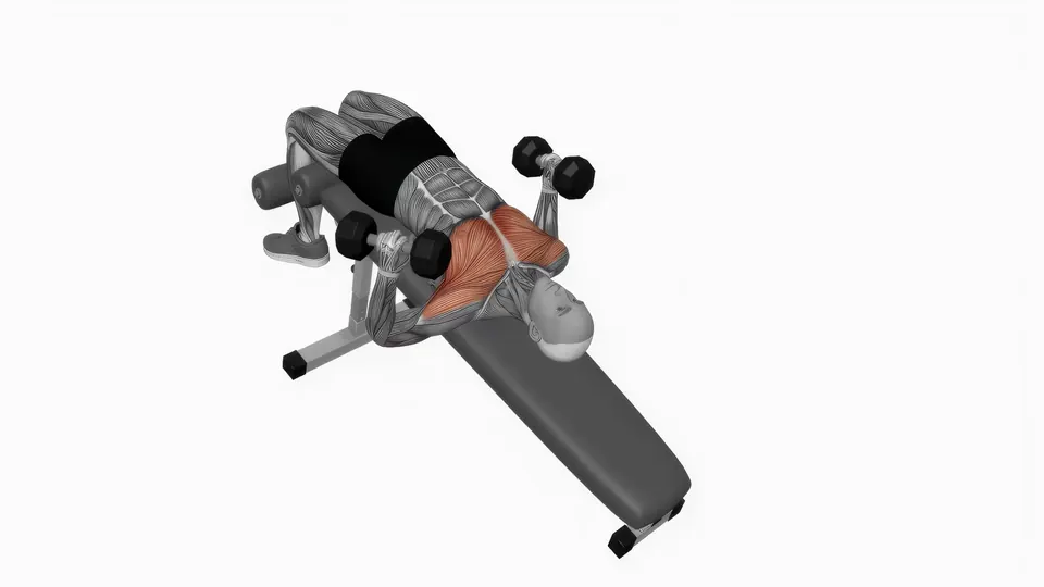 Neutral Grip Dumbbell Decline Bench Press
