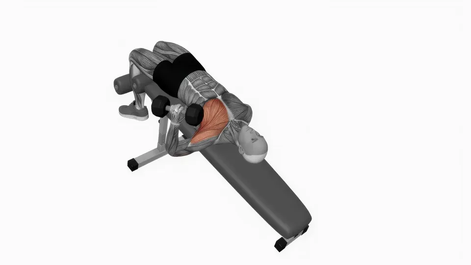 Single Arm Neutral Grip Dumbbell Decline Bench Press
