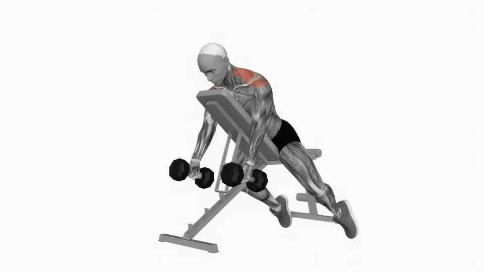 Chest Supported Dumbbell Shrug
