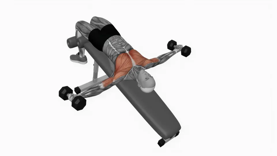 Dumbbell Decline Flye