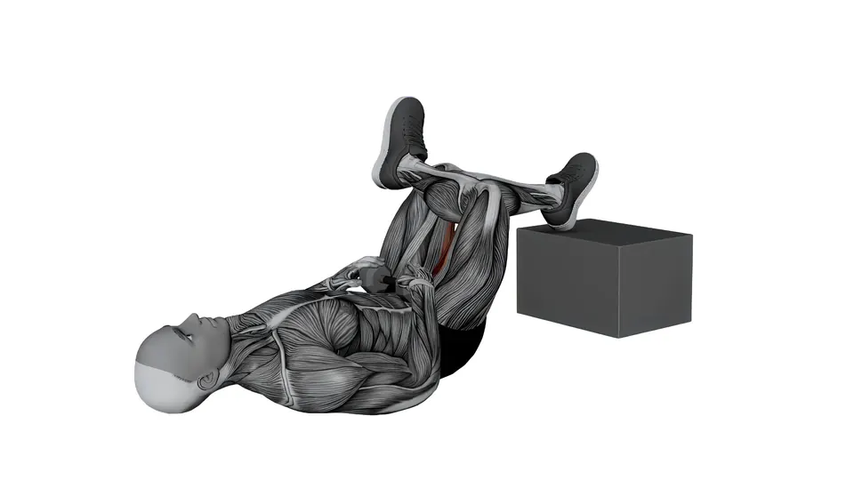 Feet Elevated Dumbbell Figure Four Glute Bridge