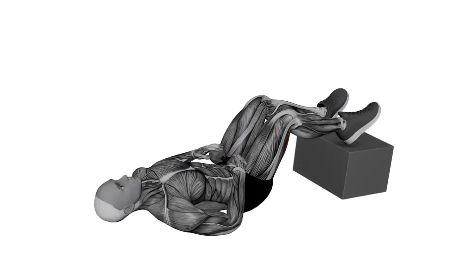 Feet Elevated Dumbbell Glute Bridge