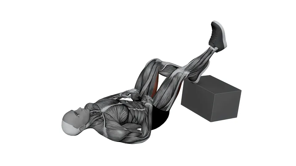 Single Leg Feet Elevated Dumbbell Glute Bridge