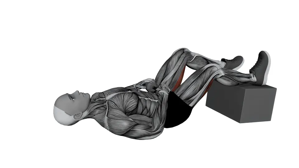 Feet Elevated Staggered Stance Dumbbell Glute Bridge