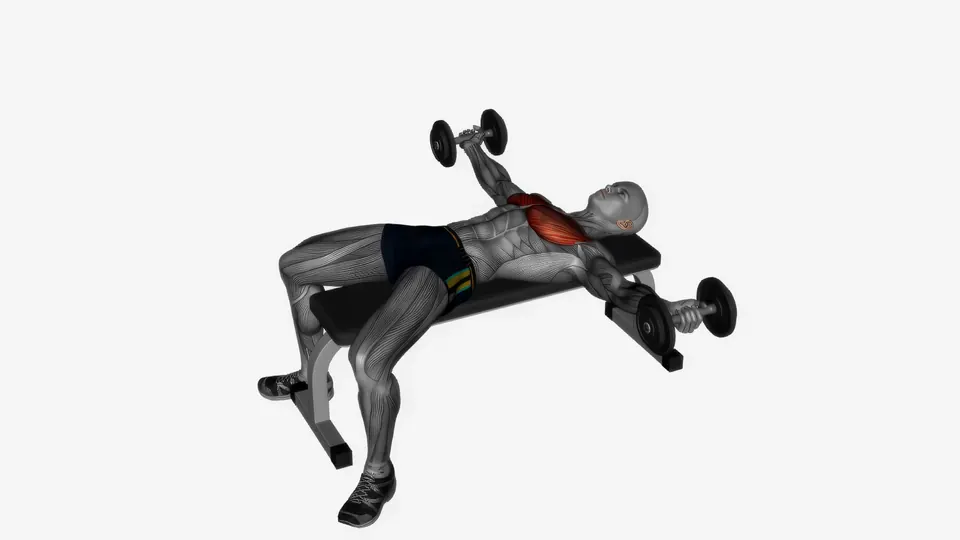 Dumbbell Flye