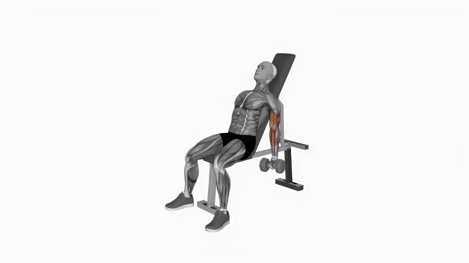 Alternating Incline Dumbbell Curl