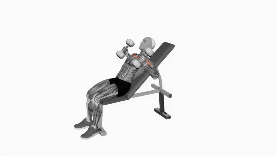 Neutral Grip Dumbbell Incline Bench Press