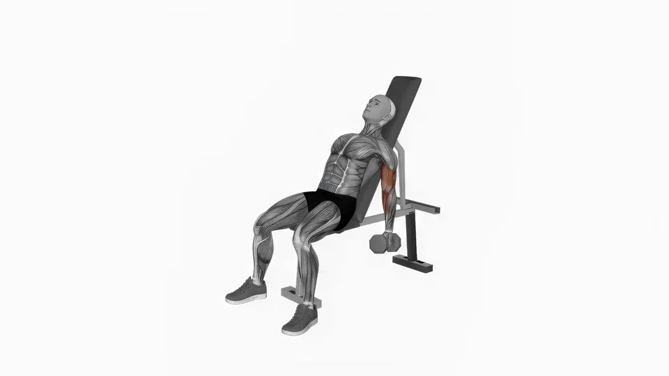 Incline Dumbbell Hammer Curl