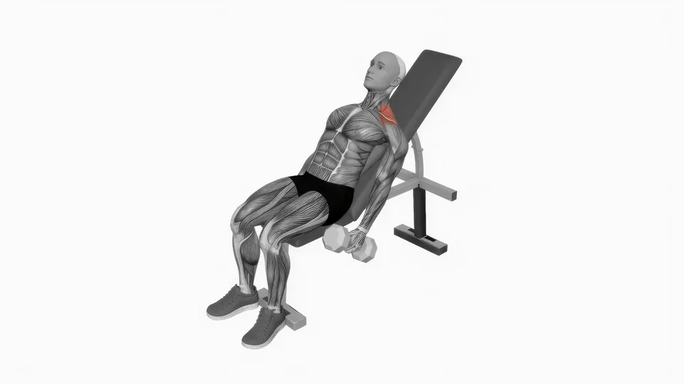 Incline Dumbbell Shrug