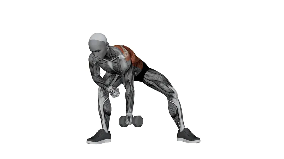 Dumbbell Lawnmower Row