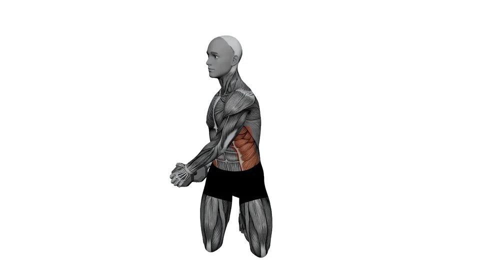 Tall Kneeling Dumbbell Woodchop