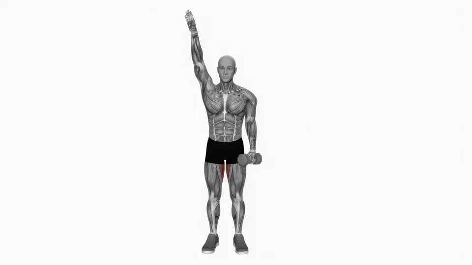 Dumbbell Low Windmill