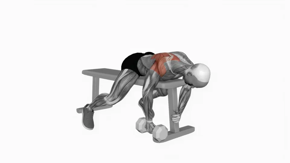 Single Arm Prone Dumbbell Rear Delt Raise
