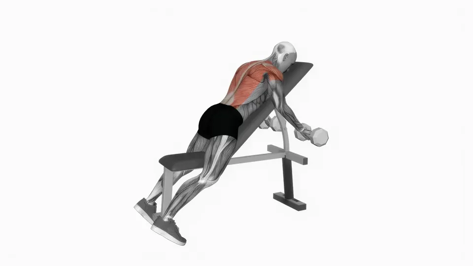Chest Supported Dumbbell Rear Delt Row