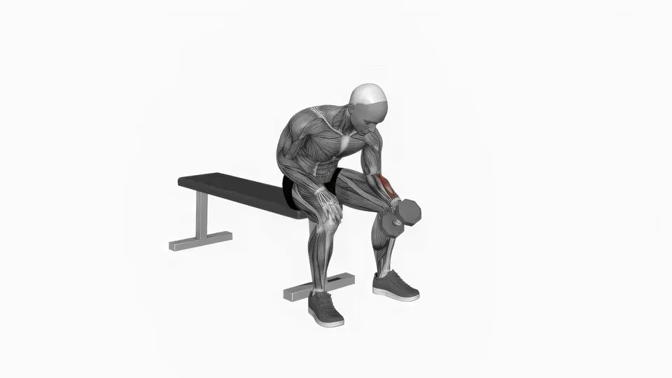 Neutral Grip Dumbbell Wrist Curl