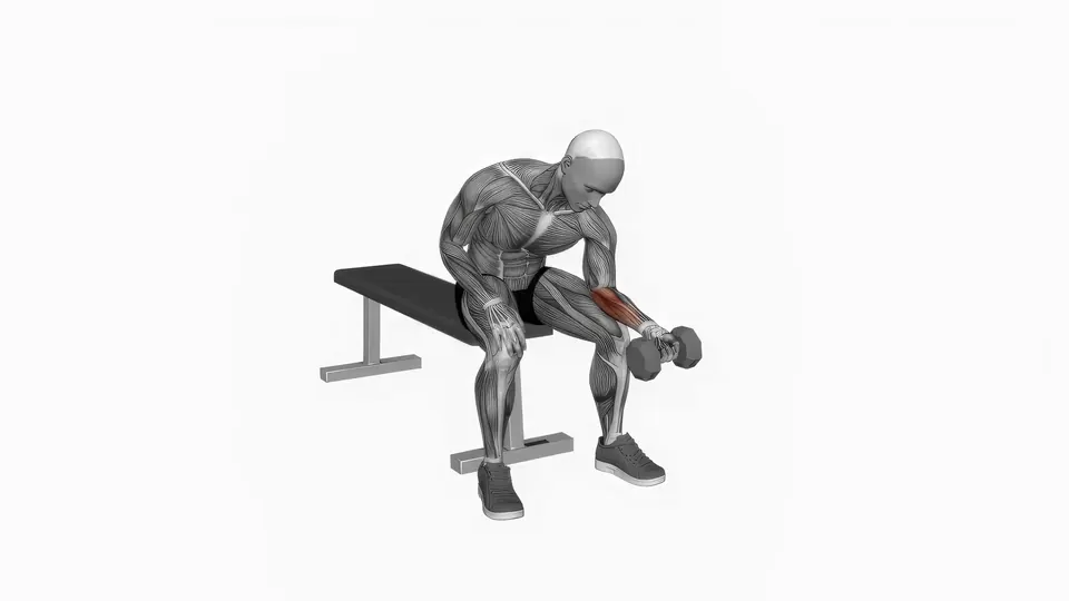 Dumbbell Wrist Curl