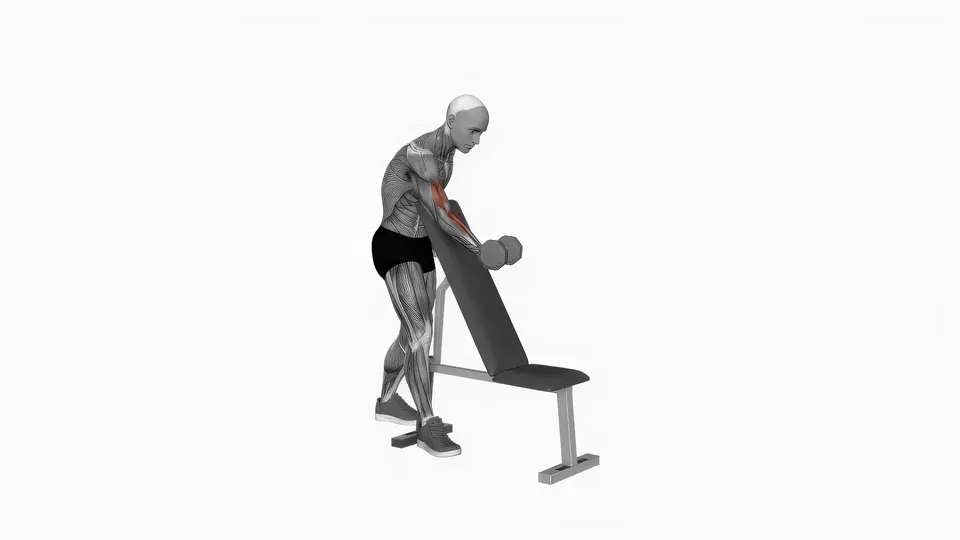 Single Arm Dumbbell Zottman Preacher Curl