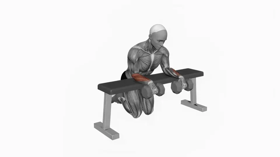 Dumbbell Reverse Wrist Curl