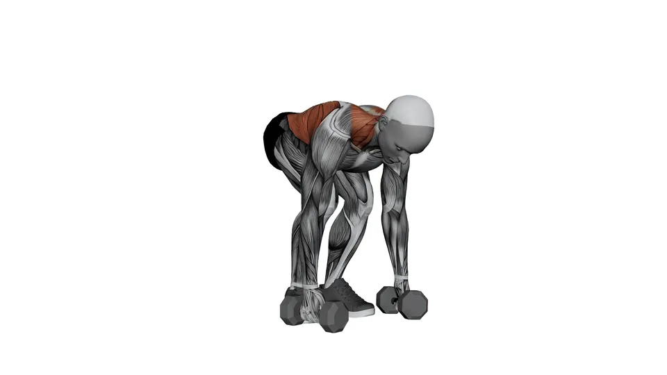 Dumbbell Pendlay Row