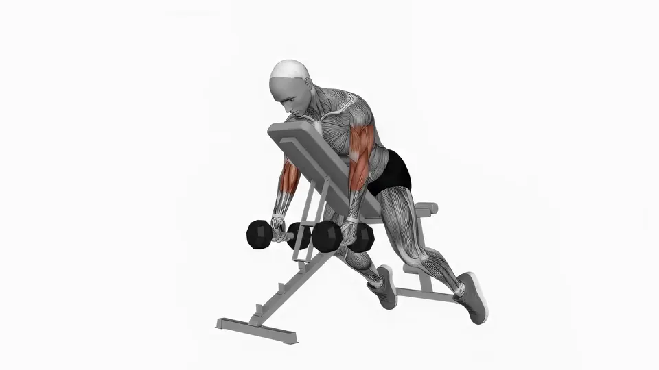 Dumbbell Hammer Spider Curl