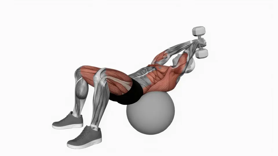 Stability Ball Dumbbell Pullover with Hip Extension