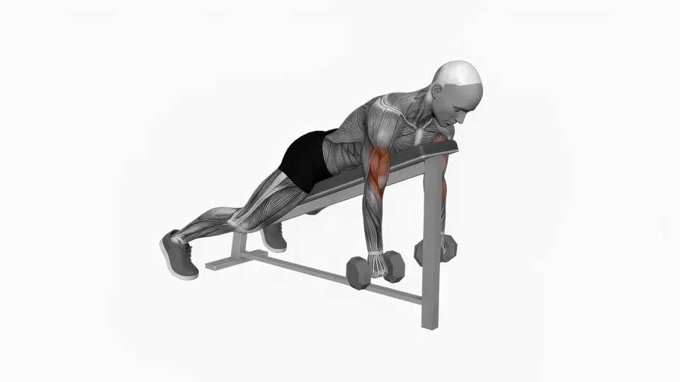 Dumbbell Reverse Spider Curl