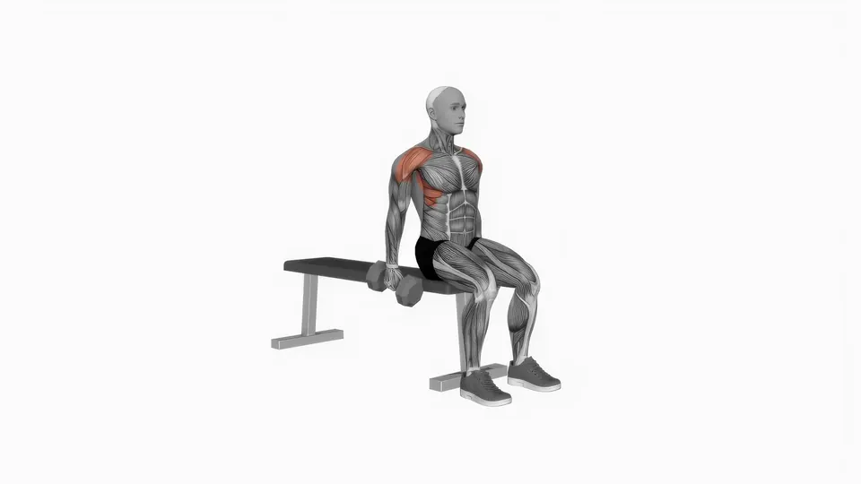 Seated Alternating Dumbbell Front Raise