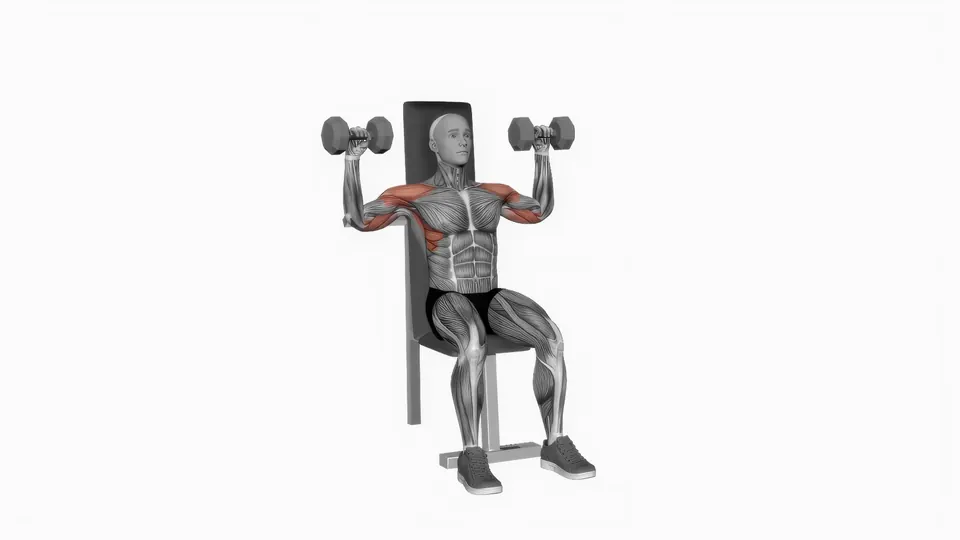 Alternating Dumbbell Shoulder Press