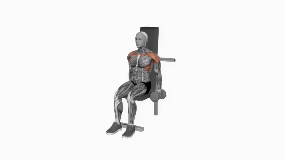 Seated Dumbbell Front Raise