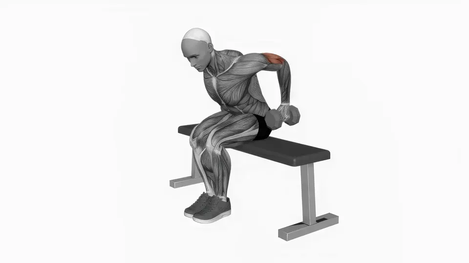 Seated Dumbbell Triceps Kickback