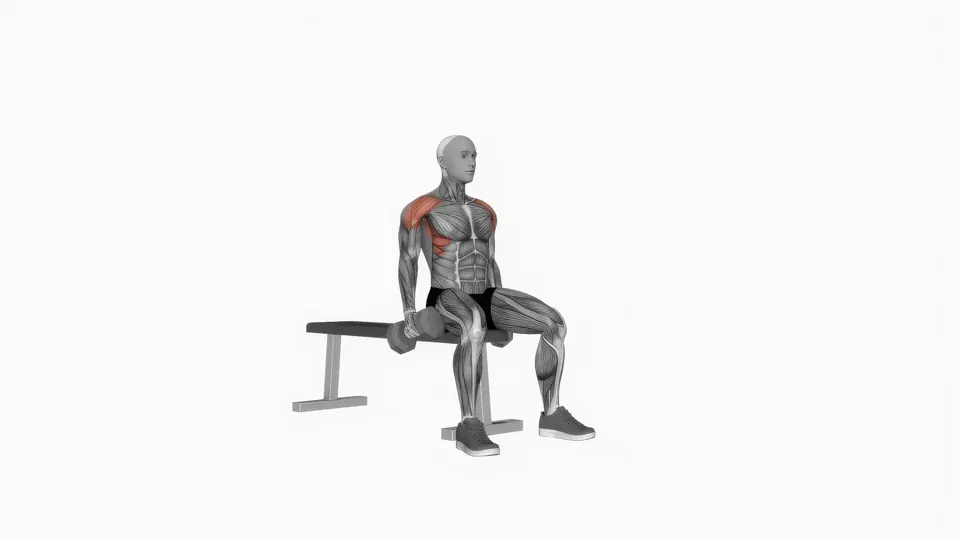 Seated Dumbbell Lateral Raise