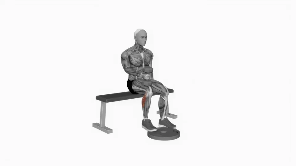 Single Leg Dumbbell Seated Calf Raise