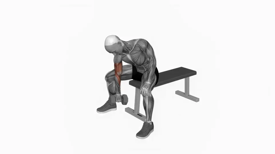 Dumbbell Reverse Concentration Curl