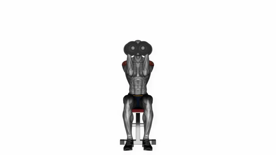 Neutral Grip Dumbbell Shoulder Press