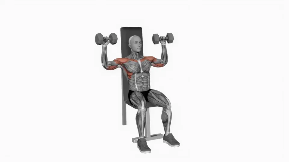 Dumbbell Shoulder Press