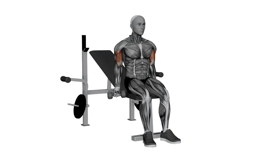 Seated Zottman Curl