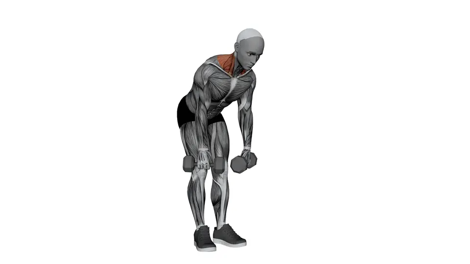 Bent Over Dumbbell Shrug