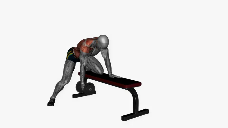 Single Arm Dumbbell Row
