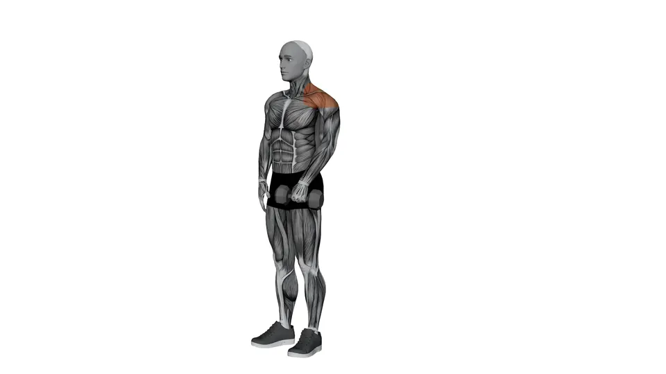 Single Arm Dumbbell Upright Row