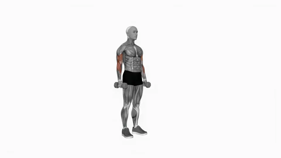 Dumbbell Hammer Drag Curl
