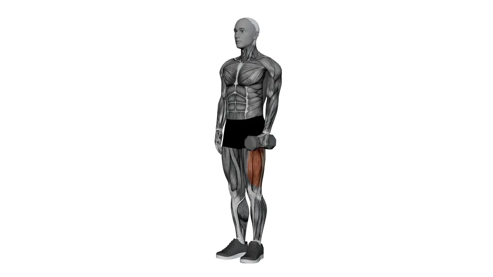Standing Dumbbell Hip Abduction